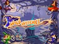 Wild Witches